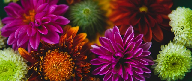 行体能储备 行体能储备