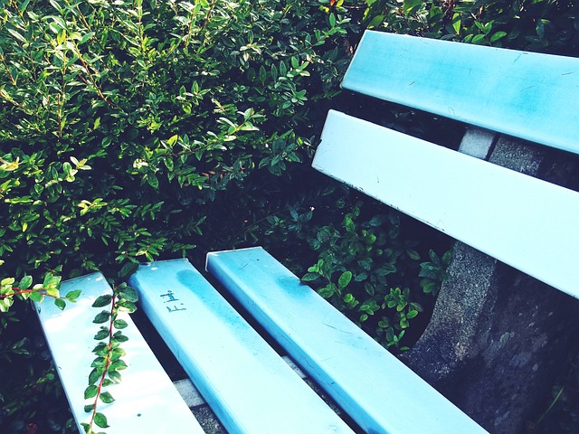 在随后的赛 在随后的赛