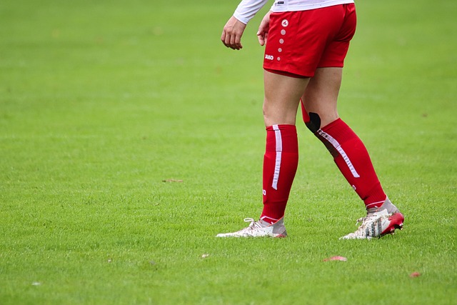 迅猛的速度 迅猛的速度