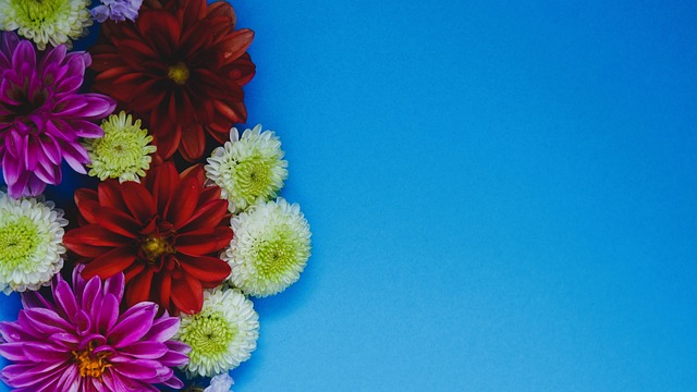 人生的另一 人生的另一