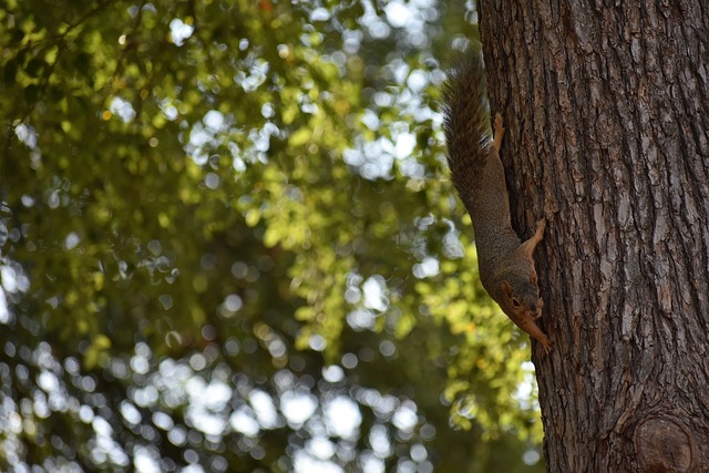 己的荣耀都 己的荣耀都