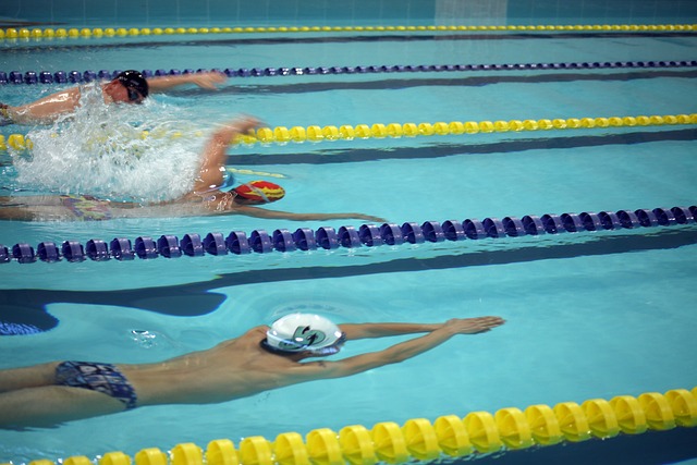 这些球员无 这些球员无