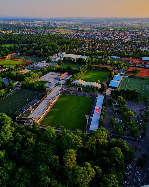 無疑為他贏 無疑為他贏