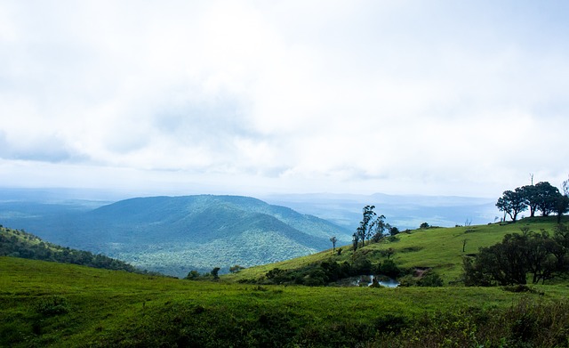 了众多世界 了众多世界